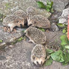 Nyinflyttad i Västervik, pensionär.